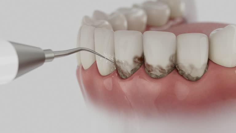 Reliable Dental contractor in Harlowton, MT by Dentist Open Now